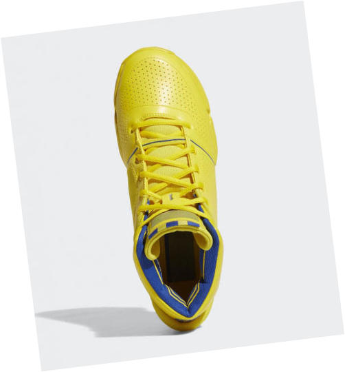adidas D Rose 1 Simeon