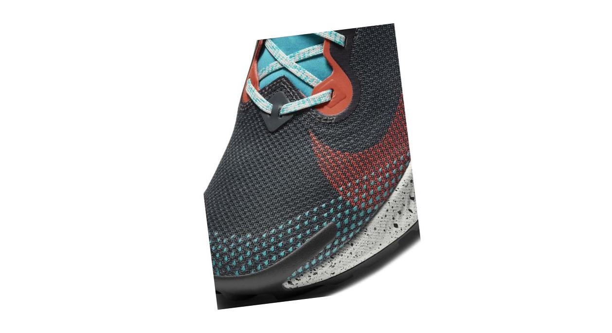 Nike Pegasus Trail 2 GORE-TEX Dark Smoke Grey/Martian Sunrise/Aquamarine/Bright Crimson